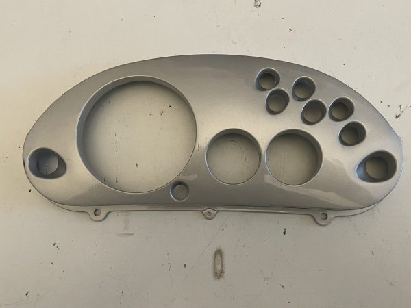 SPEEDO SURROUND 581160NA (2)