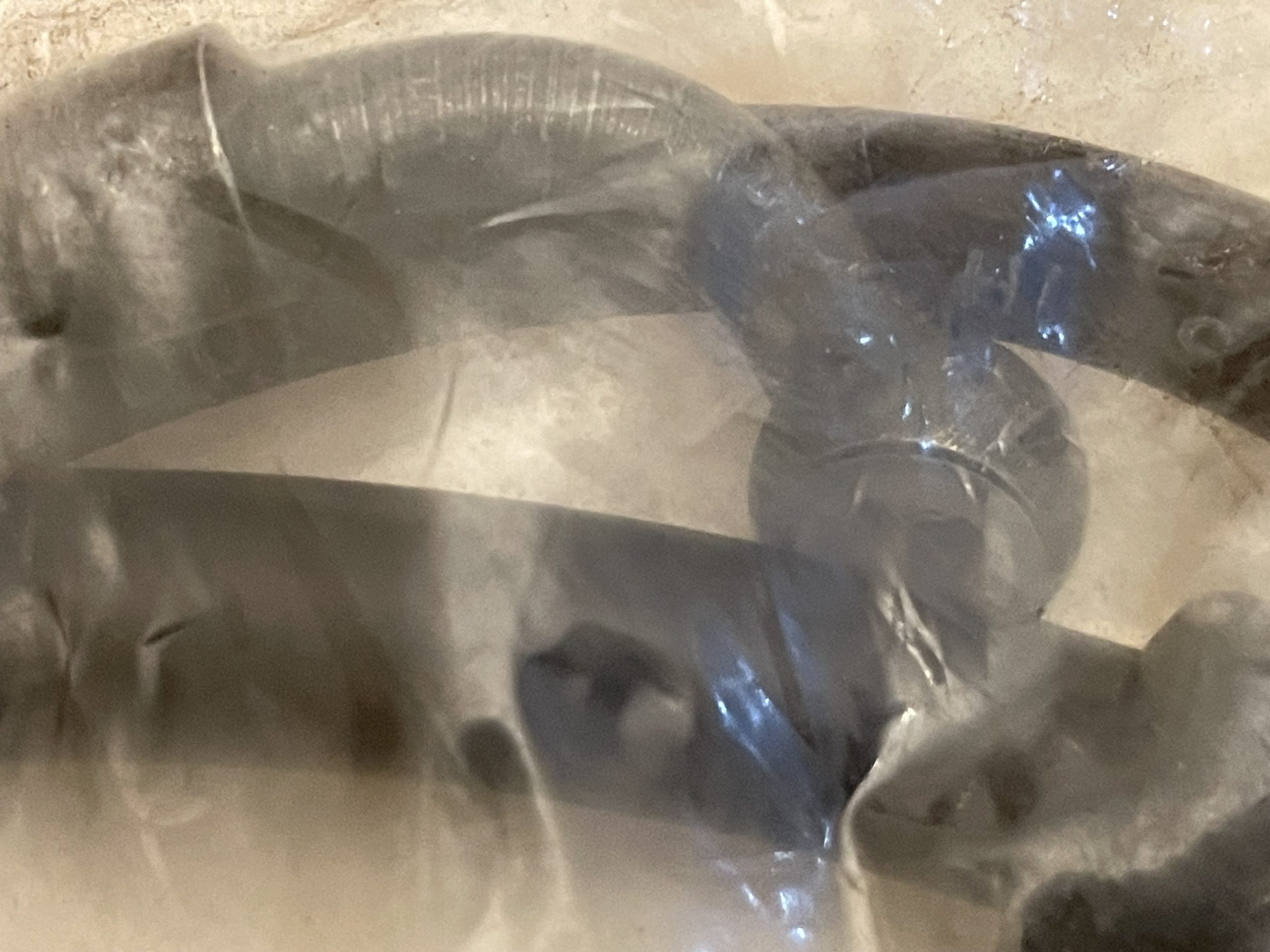 RUNNER 4T REAR HYDRAULIC BRAKE HOSE 598365NG (1)